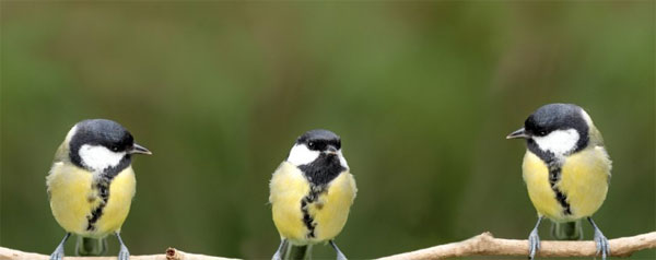 給老板的忠告:你不是皇帝,而你的員工也不傻 給老板的忠告:你不是皇帝,而你的員工也不傻