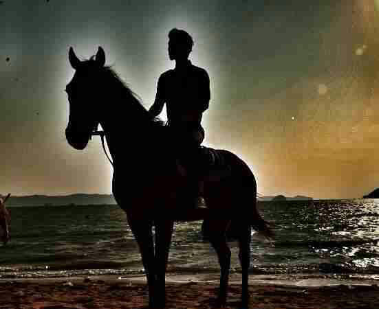 其實,哪里有真的白馬王子? 其實,哪里有真的白馬王子?