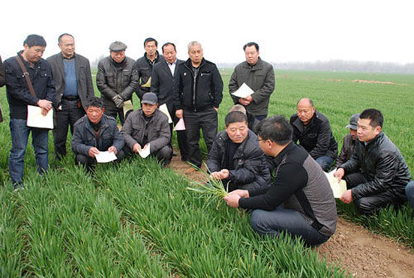 開展農(nóng)技服務(wù)。 開展農(nóng)技服務(wù)。