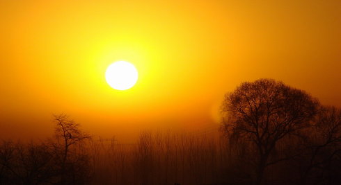 人的一生有三件事情不能等 人的一生有三件事情不能等