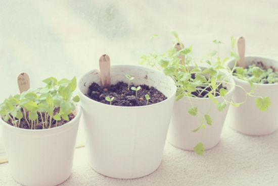 感悟人生 感悟人生