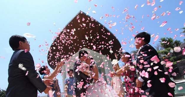 80后陳妍:獨辟蹊徑賣花瓣兩年賺了100萬 80后陳妍:獨辟蹊徑賣花瓣兩年賺了100萬