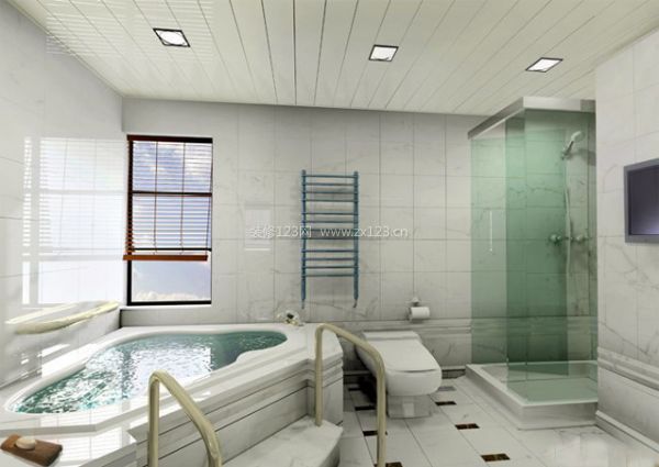 衛(wèi)生間吊頂效果圖